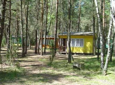 Galeria - zdjęcie 4