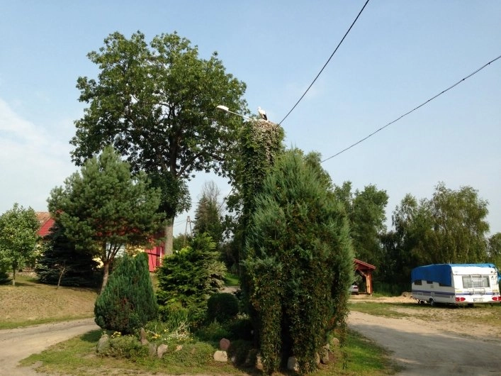 Galeria - zdjęcie 7