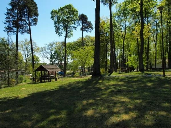 Leśna, Camping nr 14 - zdjęcie 1