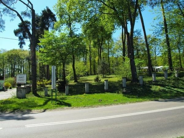 Galeria - zdjęcie 1