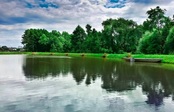 Galeria - zdjęcie 23