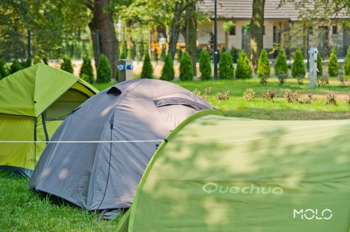 Galeria - zdjęcie 9