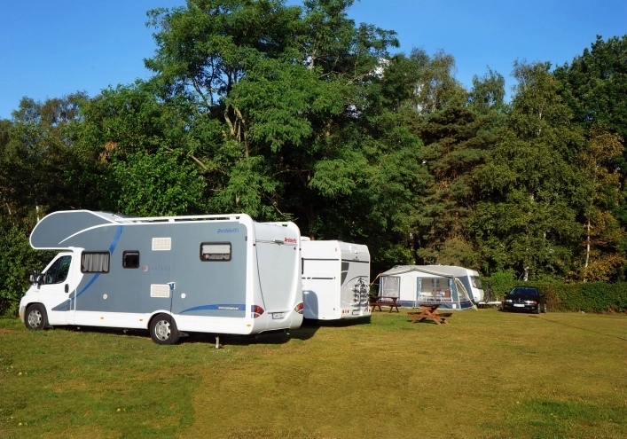 Róża Wiatrów - zdjęcie 4