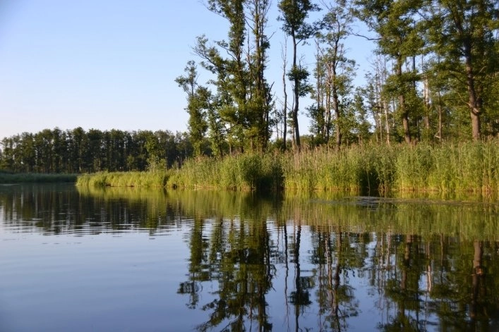 Camping nr 77 Perła Krutyni - zdjęcie 1