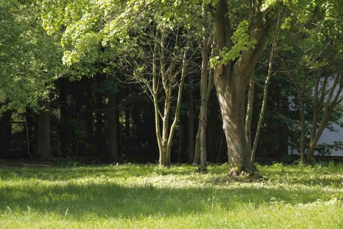 Camping KEJA - zdjęcie 1