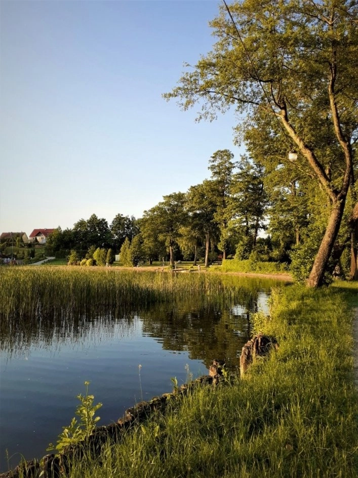 zobacz camping - zdjęcie 17