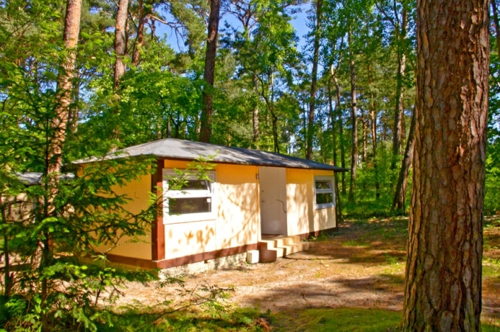 Galeria - zdjęcie 6