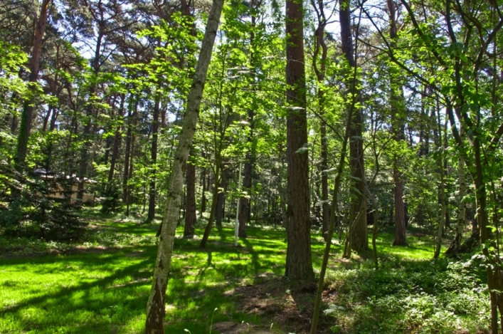 Pole Namiotowe i Domki Letniskowe Sosnowa Jurata - zdjęcie 4