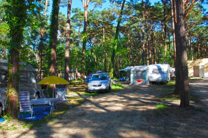 Galeria - zdjęcie 4