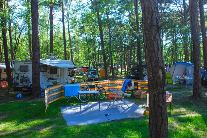 Pole Namiotowe i Domki Letniskowe Sosnowa Jurata - zdjęcie 2