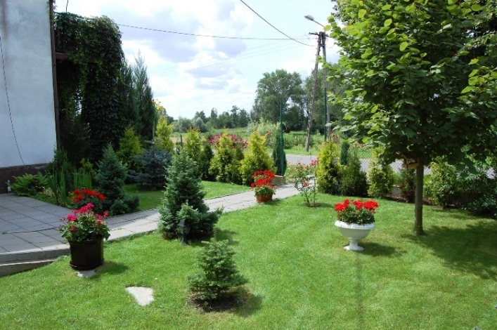 Galeria - zdjęcie 5