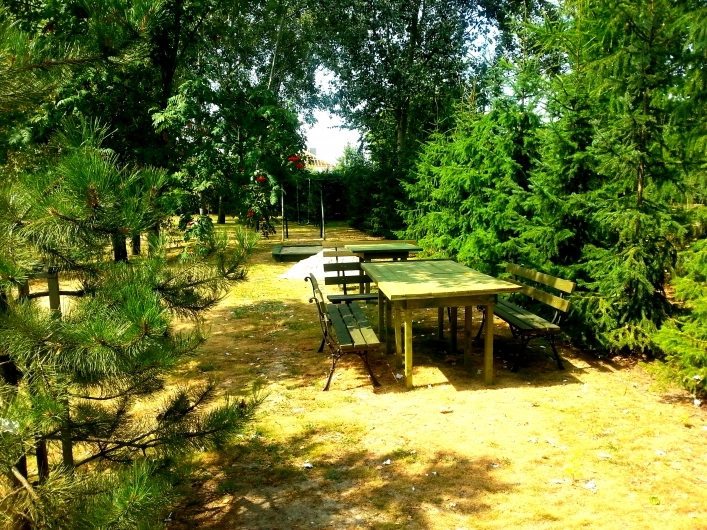 Galeria - zdjęcie 12