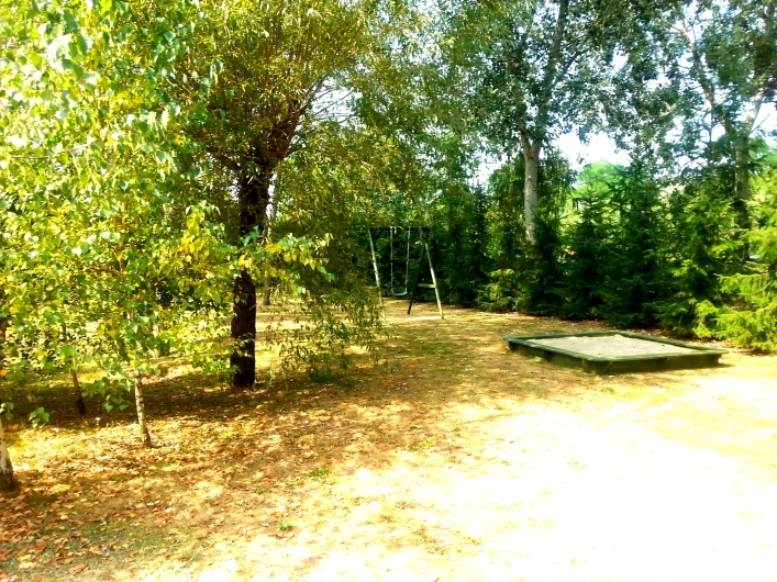 Galeria - zdjęcie 11