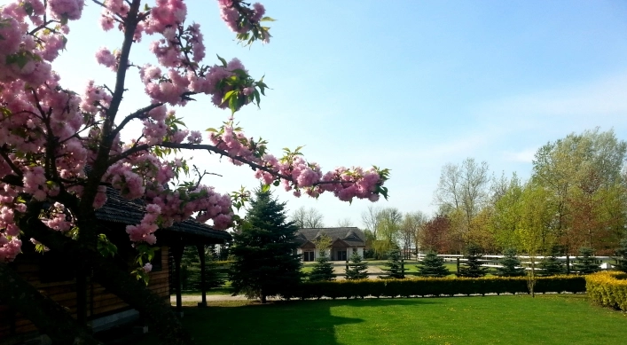 Galeria - zdjęcie 8