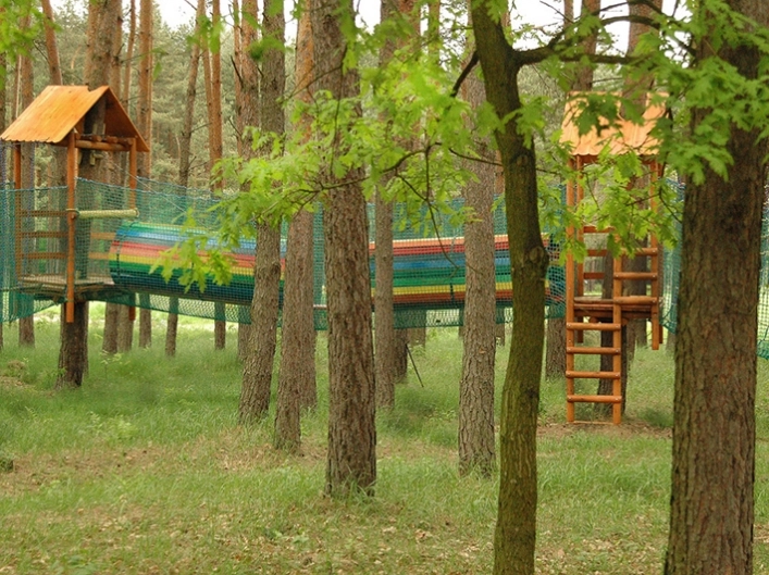 Galeria - zdjęcie 2