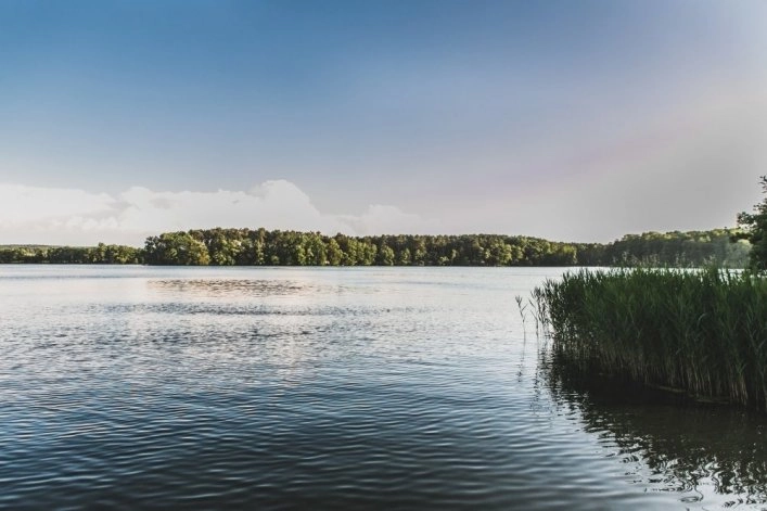 Galeria - zdjęcie 11