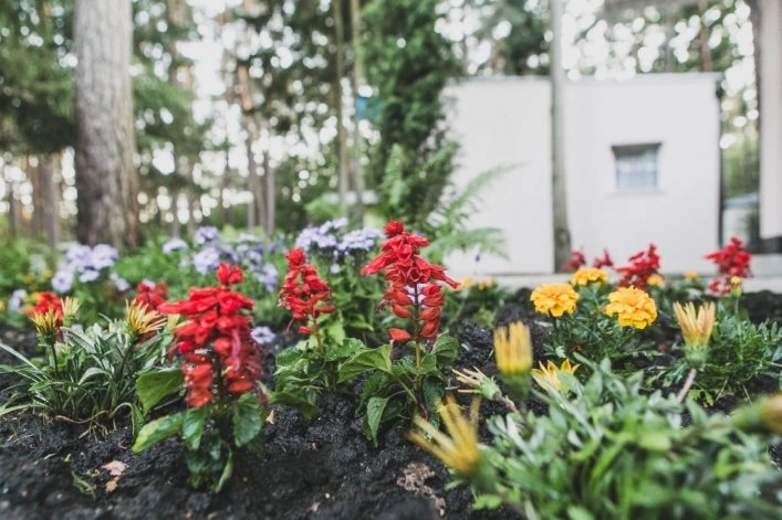 Galeria - zdjęcie 9