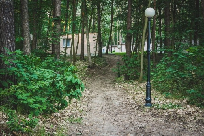 Galeria - zdjęcie 8