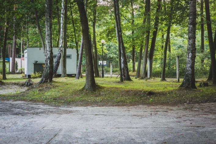 Galeria - zdjęcie 7