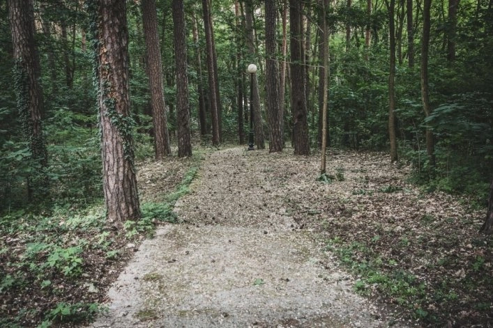 Galeria - zdjęcie 6