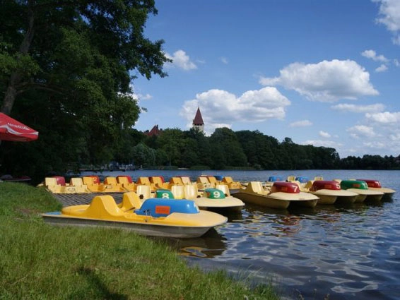 Galeria - zdjęcie 15