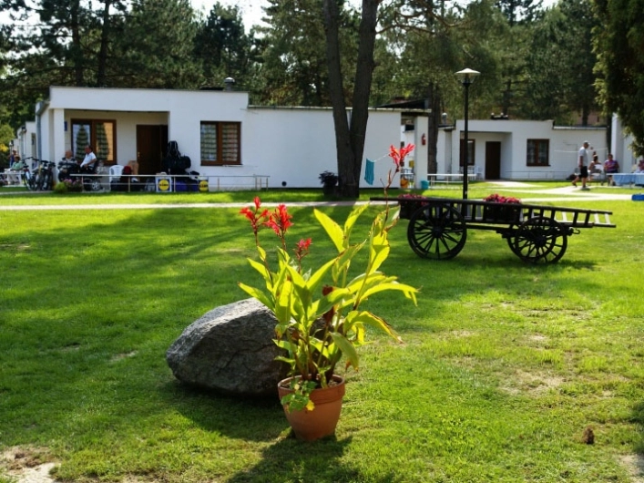 Galeria - zdjęcie 6