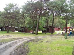 Galeria - zdjęcie 3