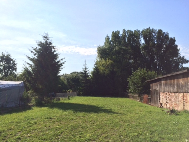 Galeria - zdjęcie 9