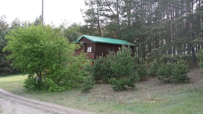 Galeria - zdjęcie 16