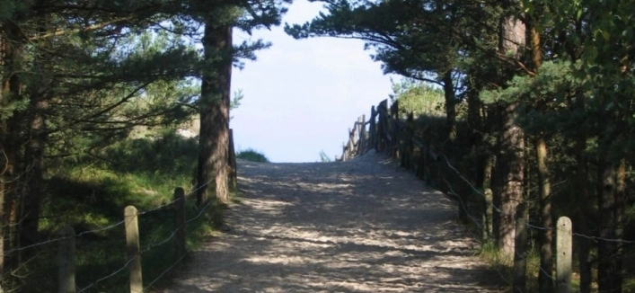 Galeria - zdjęcie 1