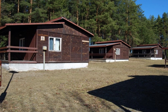 Galeria - zdjęcie 11