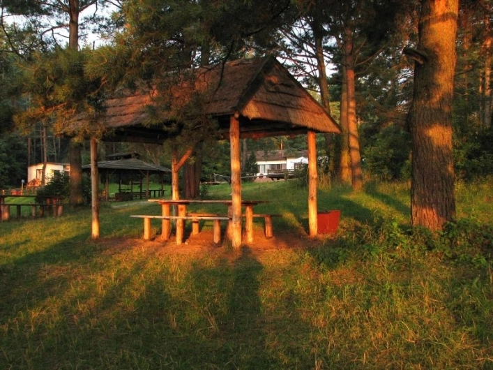 Galeria - zdjęcie 6