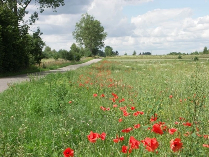 Galeria - zdjęcie 4