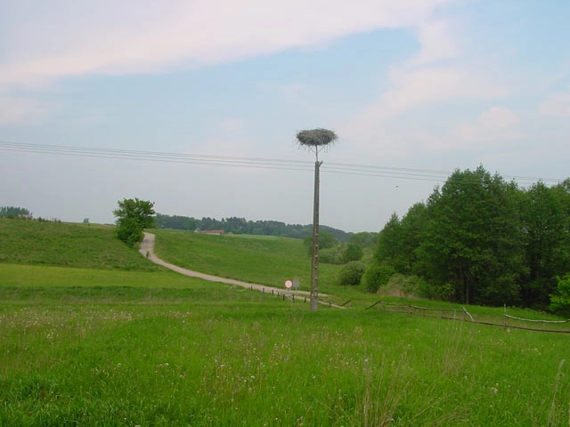 Galeria - zdjęcie 7