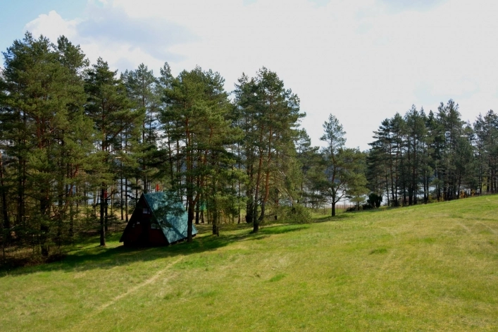 Galeria - zdjęcie 16