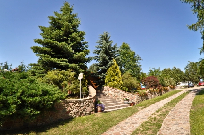 Galeria - zdjęcie 12