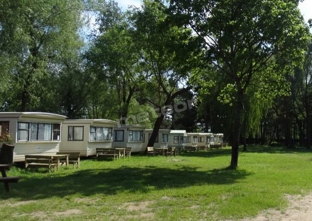 Camp Nowe Guty - zdjęcie 2
