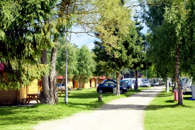 Galeria - zdjęcie 10