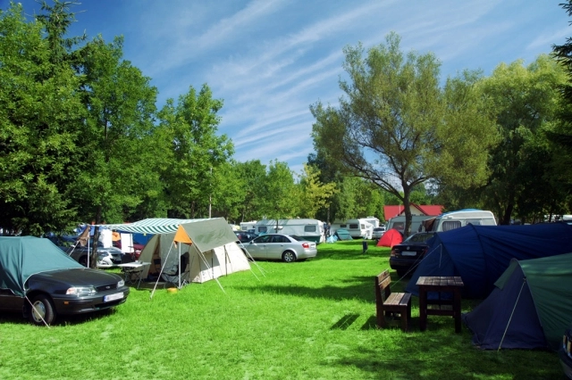 Galeria - zdjęcie 9