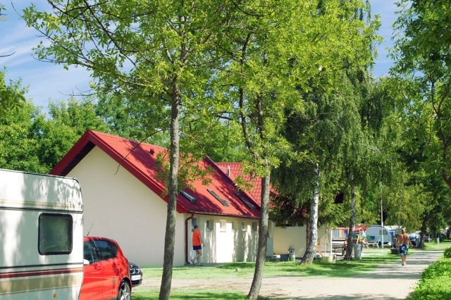 Galeria - zdjęcie 8