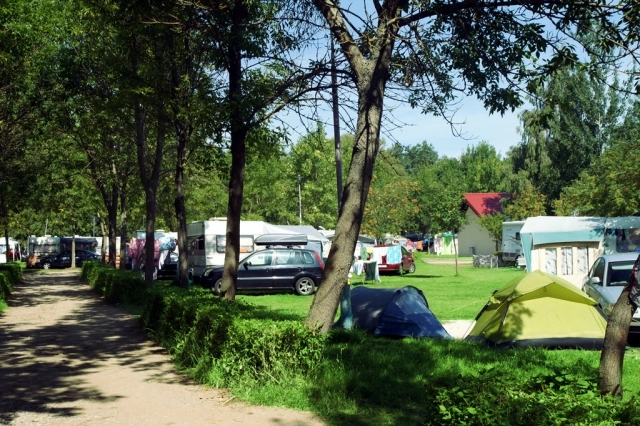 Galeria - zdjęcie 7