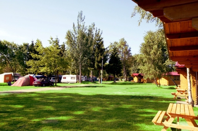 Galeria - zdjęcie 6