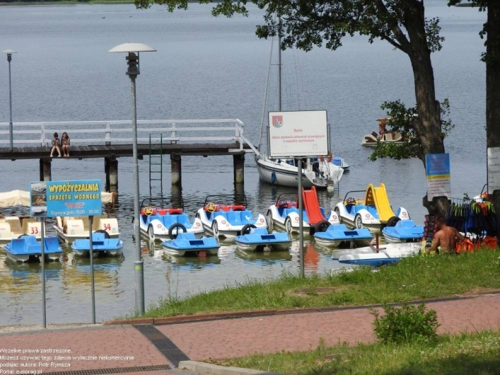Galeria - zdjęcie 12