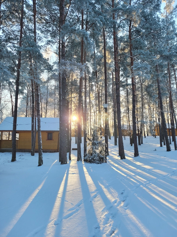 Galeria - zdjęcie 9