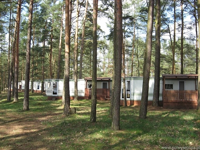 Galeria - zdjęcie 14