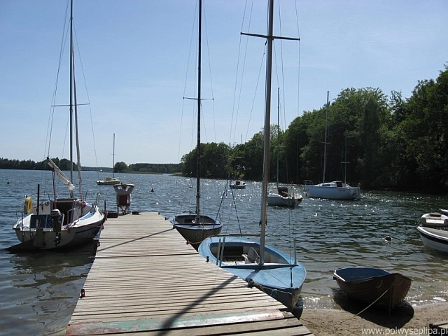 Galeria - zdjęcie 11