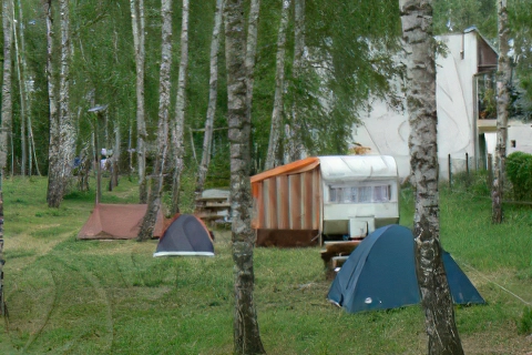 Camping nr 108 "Pod Brzozami"