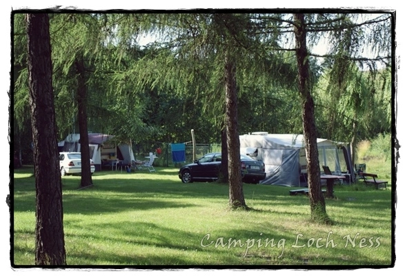 Galeria - zdjęcie 20