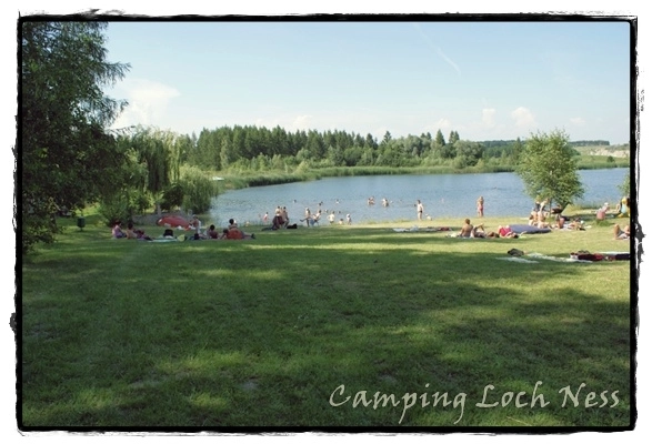 Galeria - zdjęcie 19