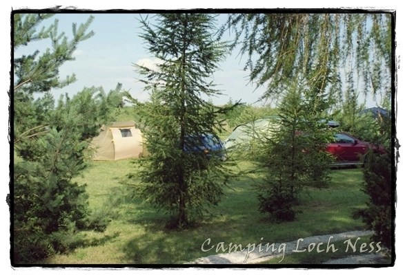 Galeria - zdjęcie 18